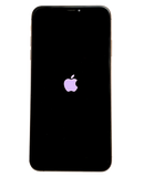 iPhone XS Max (64 Gb)